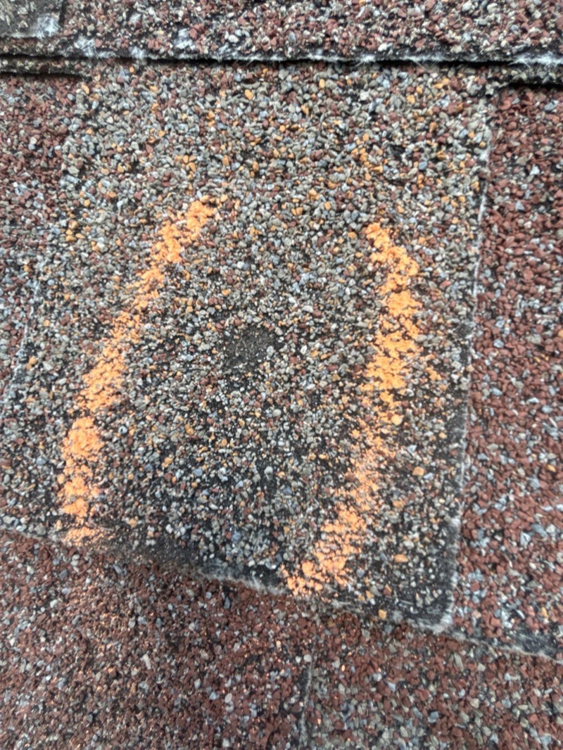 Chalk circle marking a hail strike on an asphalt shingle roof